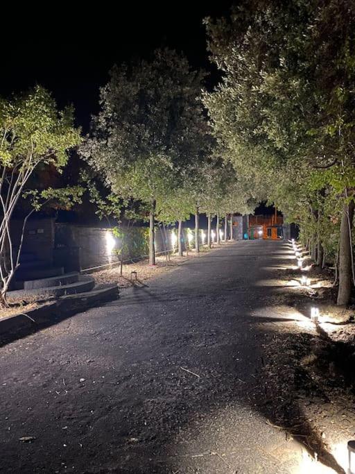 Villa Caterina, Alle Pendici Del Vulcano Etna Viagrande Exterior foto